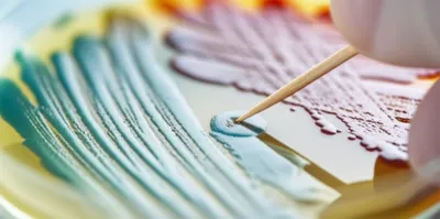 Illustration toothpick - Image 1