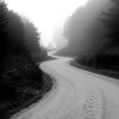 Illustration trace - Image 1