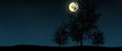 Illustration nighttime - Image 2