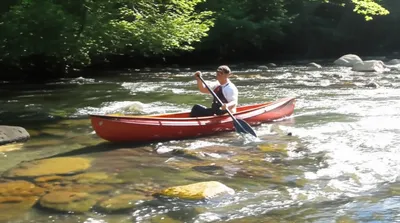 Illustration seek - Image 1