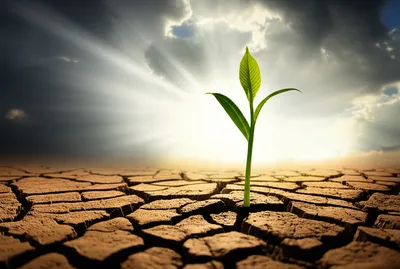 Illustration renewing - Image 1