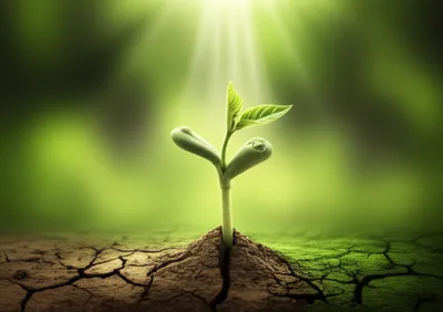 Illustration intensifying