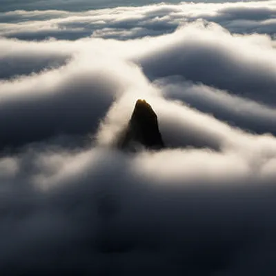 Illustration crowned - Image 1