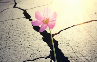 Illustration propel - Image 1