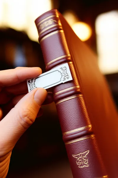 Illustration titling - Image 1