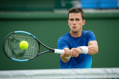 Illustration returns - Image 1