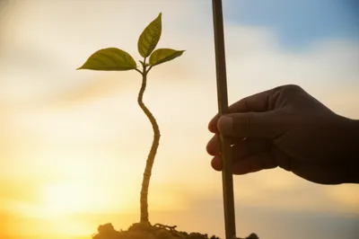 Hình ảnh minh họa correctional