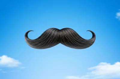 Illustration mo - Image 1