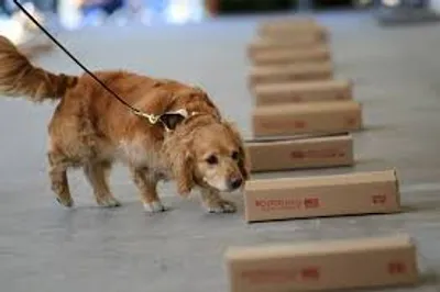 Illustration wind - Image 4