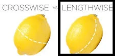 Illustration longitudinal - Image 2