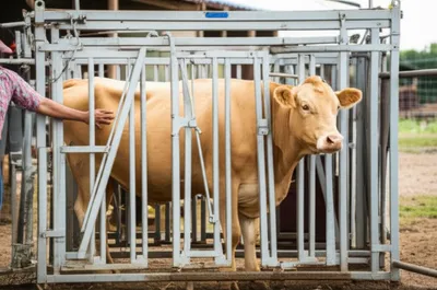 Illustration crush - Image 1