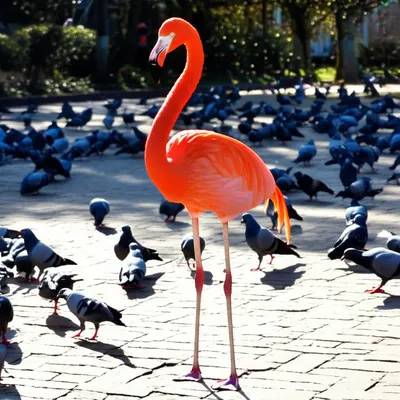 Illustration tooted - Image 1