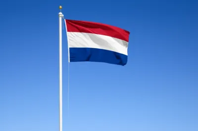 Illustration staves - Image 1