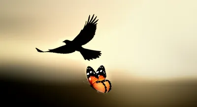 Illustration flyer - Image 1