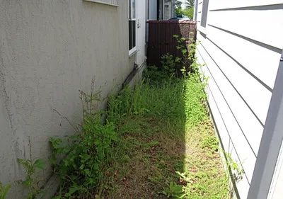 Illustration yard - Image 1