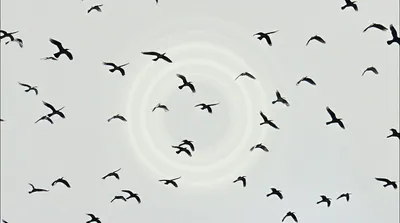 Illustration transmitting - Image 1