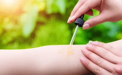 Illustration balsams - Image 1