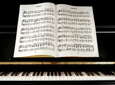 Illustration transposed - Image 1