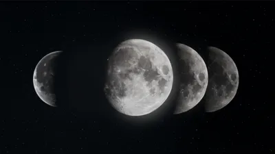 Illustration increments - Image 1