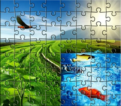 Illustration conforms - Image 1