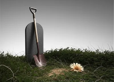 Illustration buries - Image 1