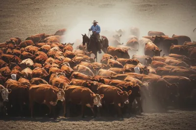 Illustration punching - Image 1