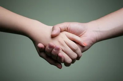 Illustration cling - Image 1