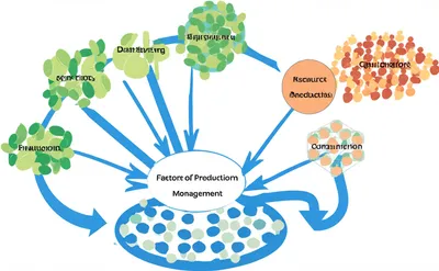 Illustration economics