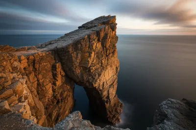 Illustration scout - Image 1