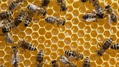 Illustration worker - Image 2