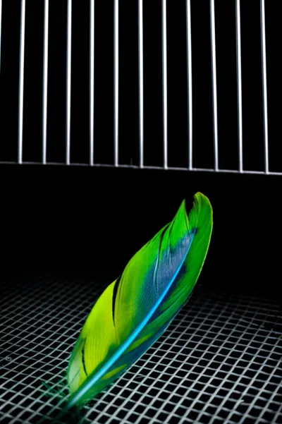 Illustration undress - Image 1