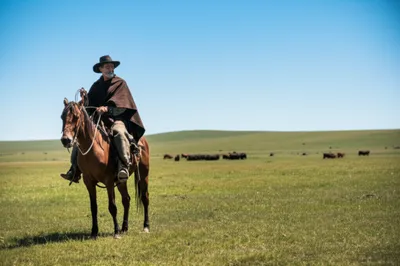 Illustration gauchos