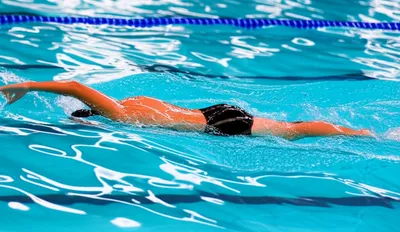 Illustration crawls - Image 1