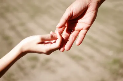 Illustration lovingly