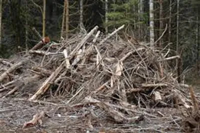 Illustration slash - Image 2