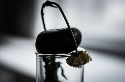 Illustration pt - Image 1