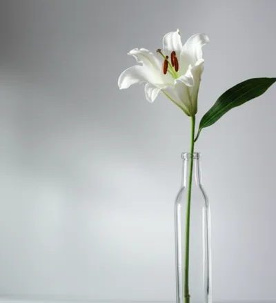 Illustration chaste - Image 1