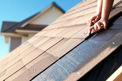 Illustration shingling - Image 1