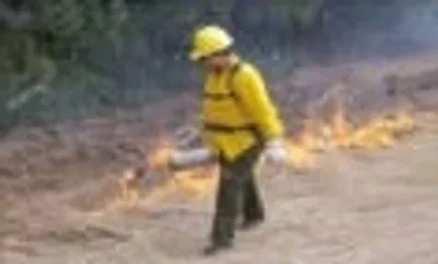 Illustration backfire - Image 2