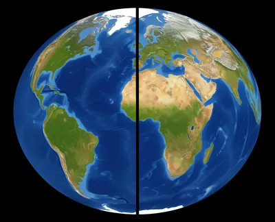 Illustration hemispheres - Image 1