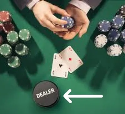 Illustration buck - Image 3