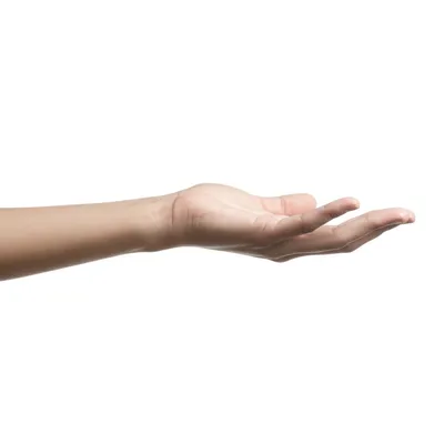 Illustration out - Image 1