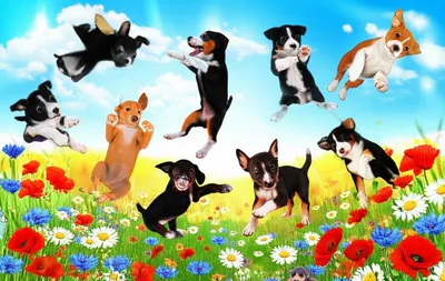 Illustration bouncy - Image 1