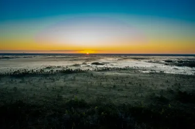 Illustration bogland - Image 2