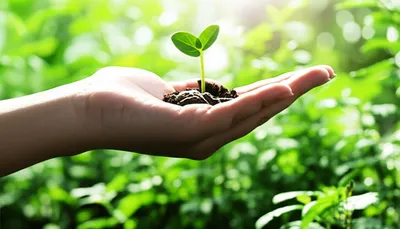 Illustration advices - Image 2