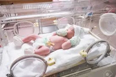 Illustration incubator - Image 2