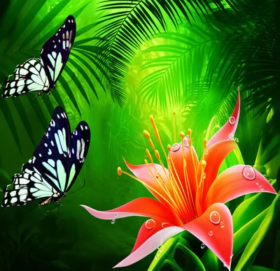 Illustration traps - Image 1