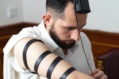 Illustration laid - Image 1