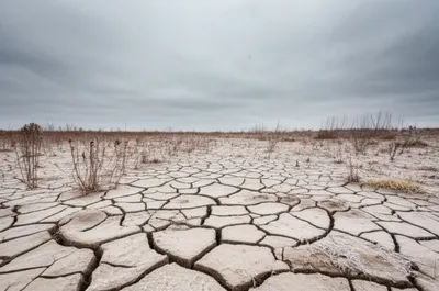 Illustration souring - Image 1