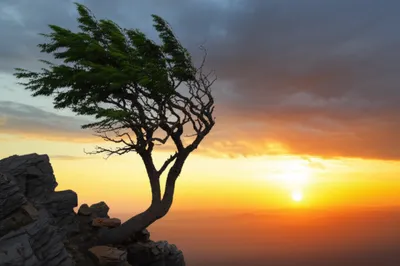 Illustration enduring